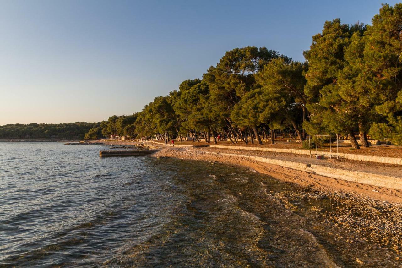 Mrsic * Biograd Na Moru